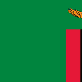 fleg