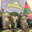 Kilombero-rice