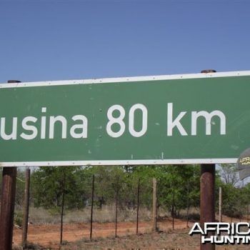 musina