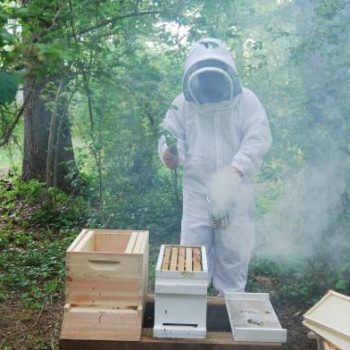 beekeeper